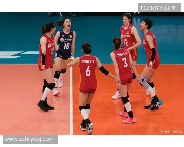 成都排球队的成长之路:一段关于奋斗与团结的排球纪实故事