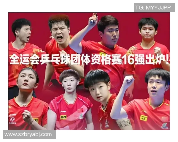 杭州乒乓球队的崛起与发展探索聚焦乒乓球的力量与未来