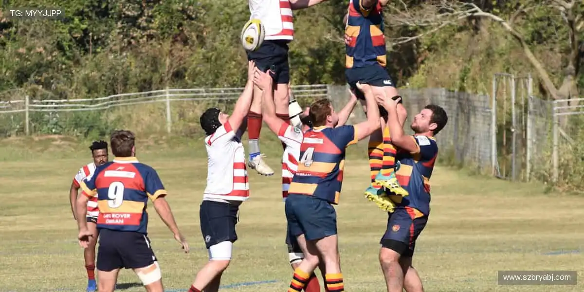 珍藏热爱，从这里开始！🎁🌟